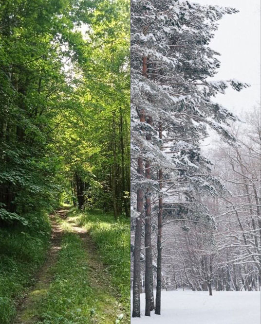 Как выбрать одеяло